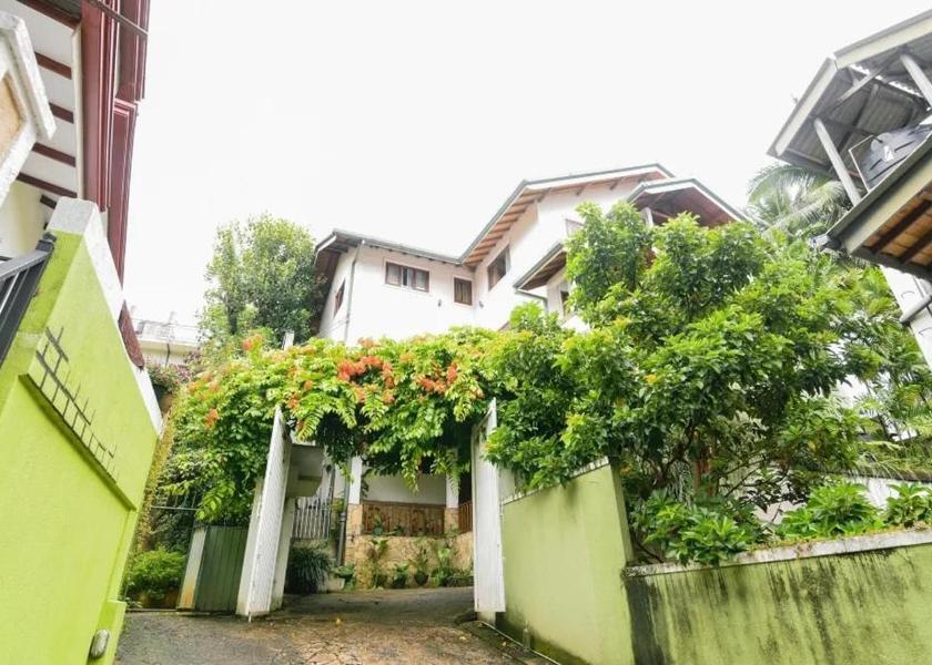 Central Province Kandy garden