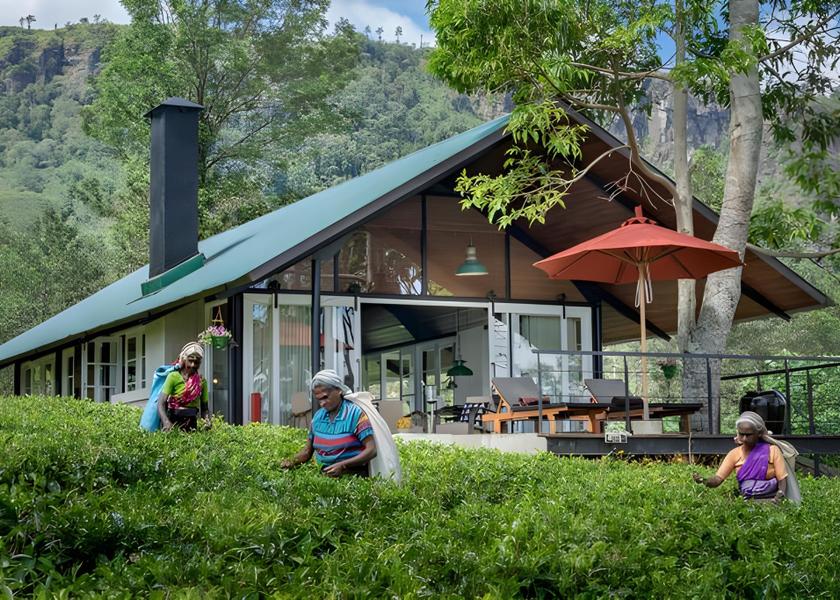 Central Province Kandy view