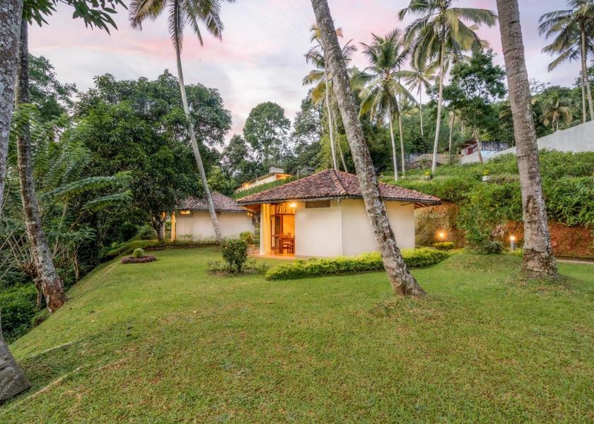 Central Province Kandy garden