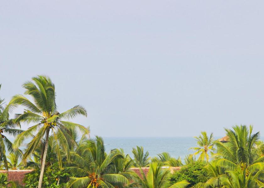 Galle District Bentota 