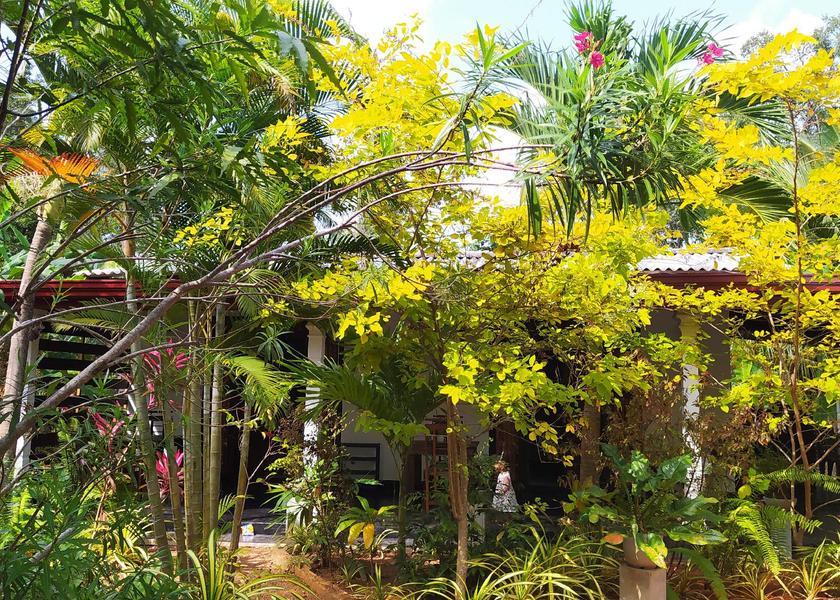 Central Province Sigiriya garden