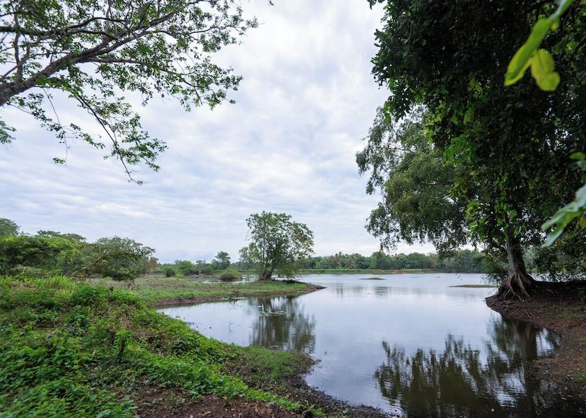 North Central Province Habarana Lake