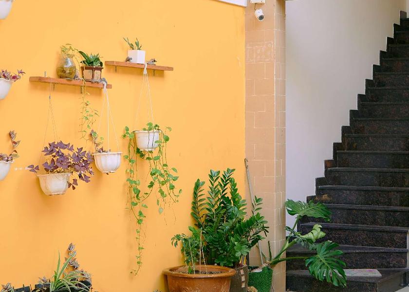 Ba Ria-Vung Tau Vung Tau balcony/terrace