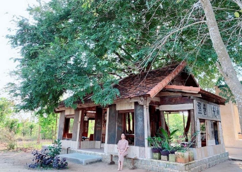 Ba Ria-Vung Tau Vung Tau sports and activities