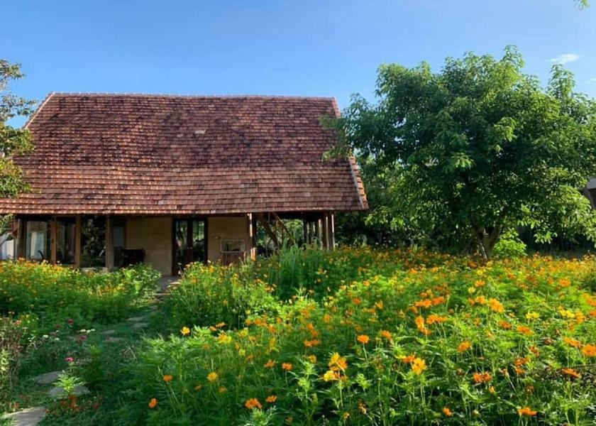 Ba Ria-Vung Tau Vung Tau garden