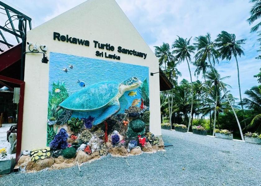 Hambantota District Tangalle 