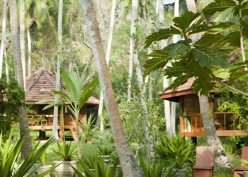 Hambantota District Tangalle 