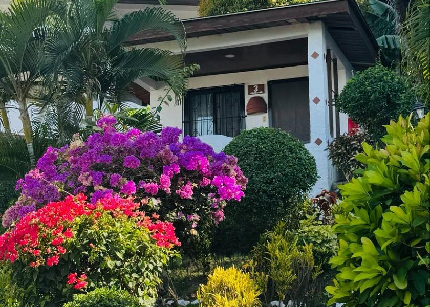  Puerto Galera surrounding environment