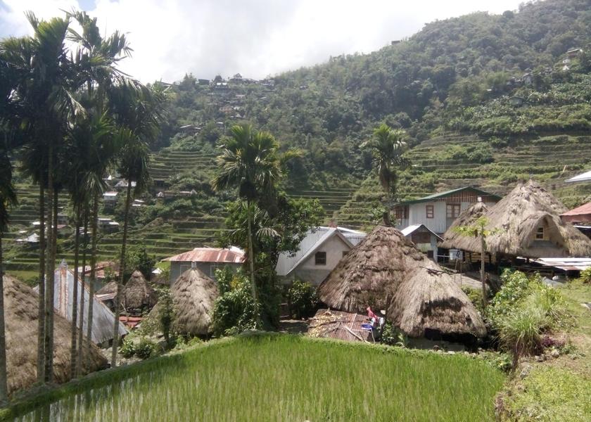 Cordillera Administrative Region Banaue 