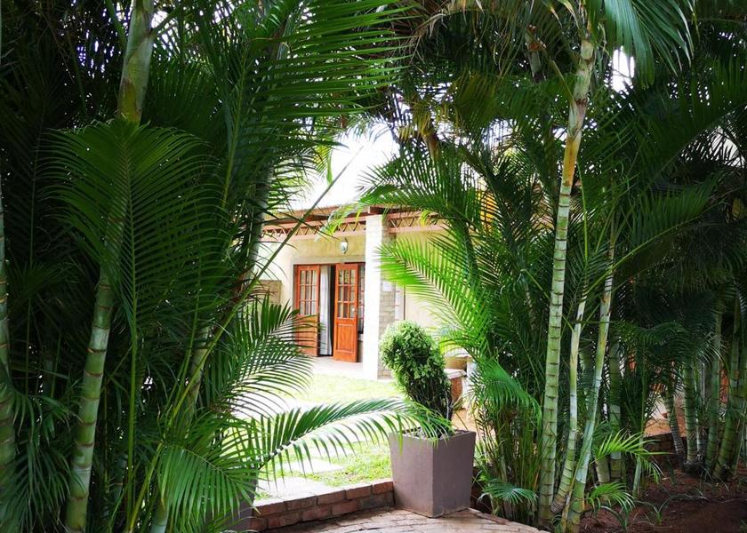 Limpopo Musina garden