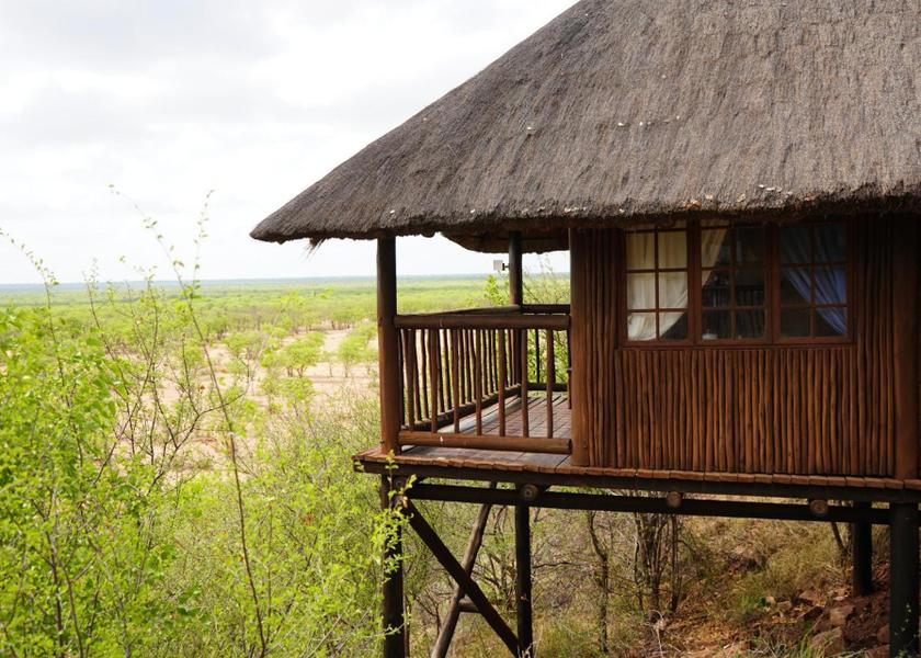 surrounding environment