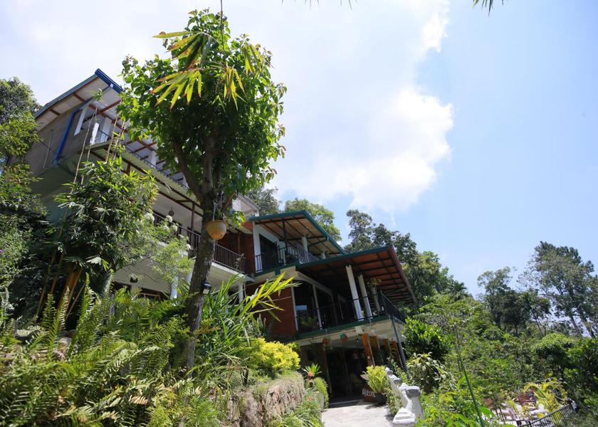 Uva Province Ella 