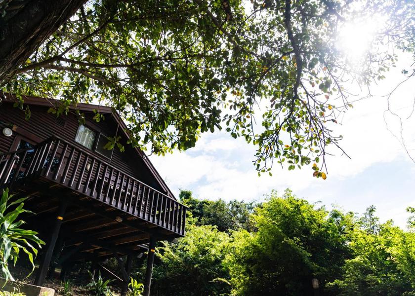 KwaZulu-Natal eMthunzini garden