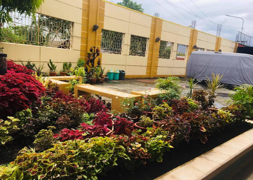 Bicol Legazpi 