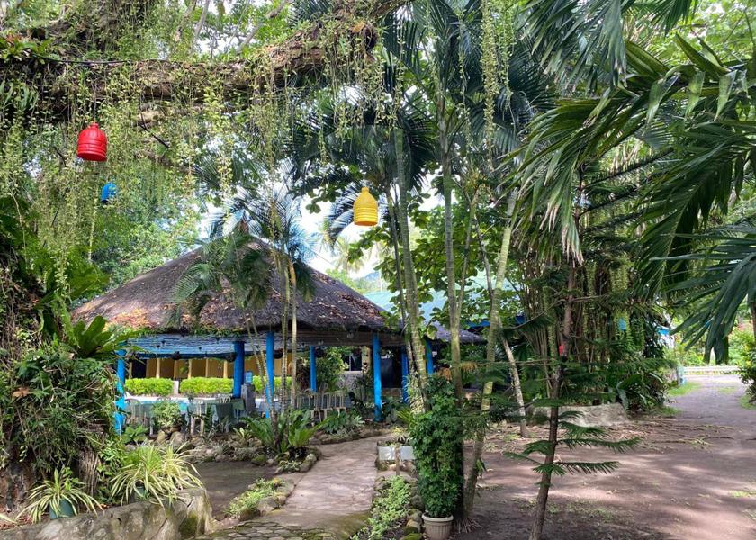 Northern Mindanao Camiguin garden