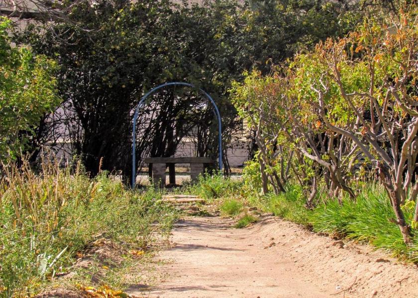 Eastern Cape Nieu-Bethesda garden