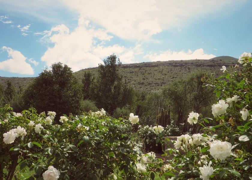 Eastern Cape Nieu-Bethesda garden