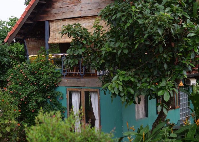Dak Lak Province Buon Ma Thuot garden