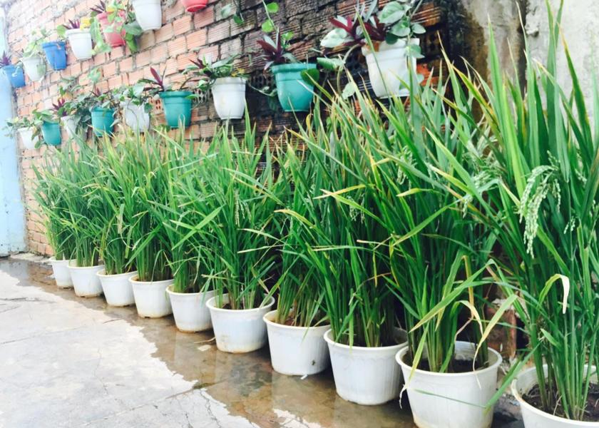 Dak Lak Buon Ma Thuot 