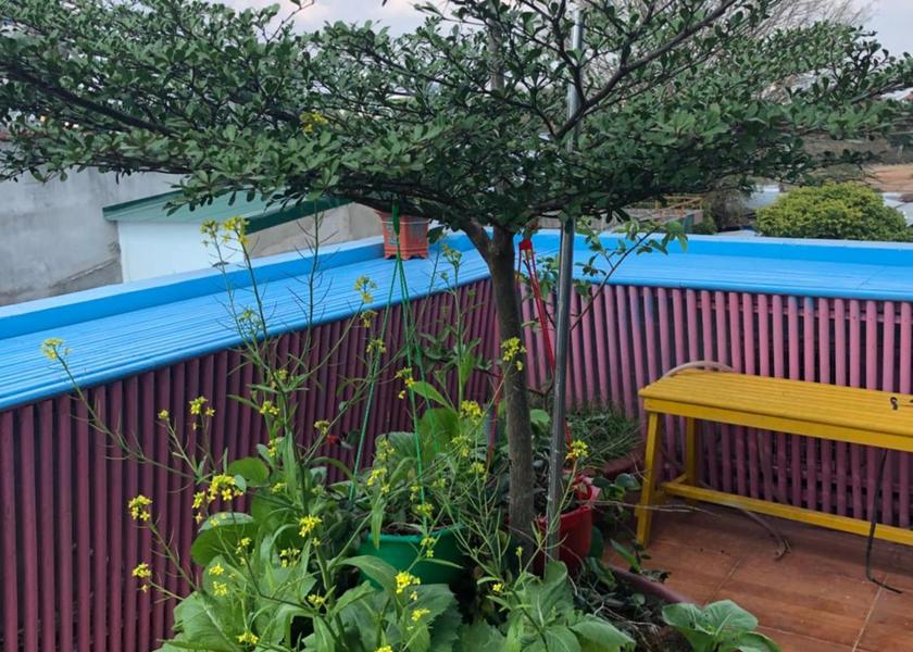 Dak Lak Buon Ma Thuot 