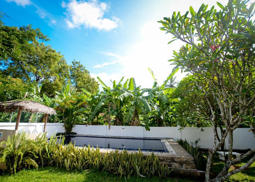  Embilipitiya swimming pool [outdoor]