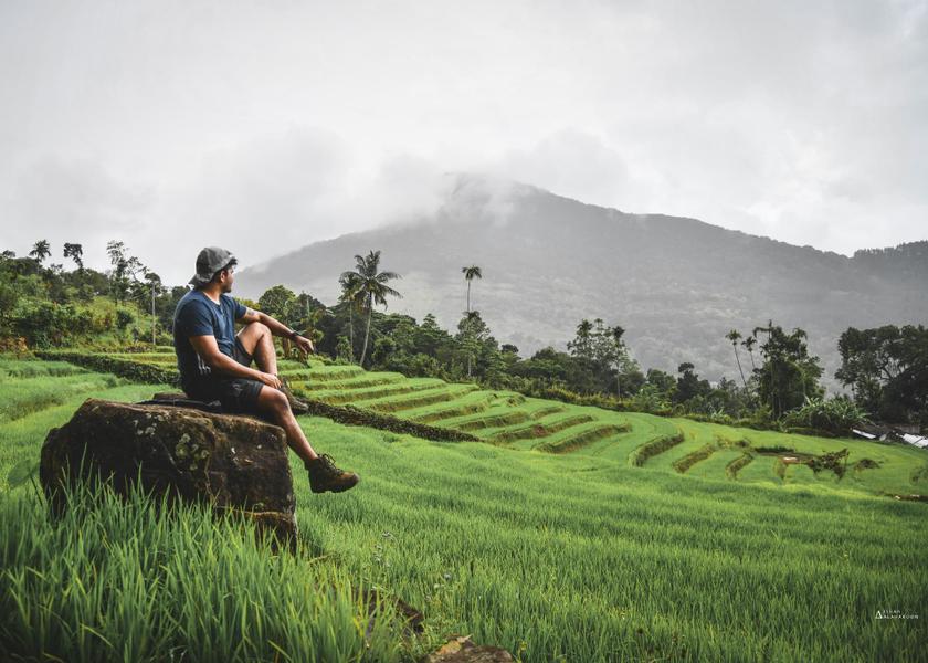 surrounding environment