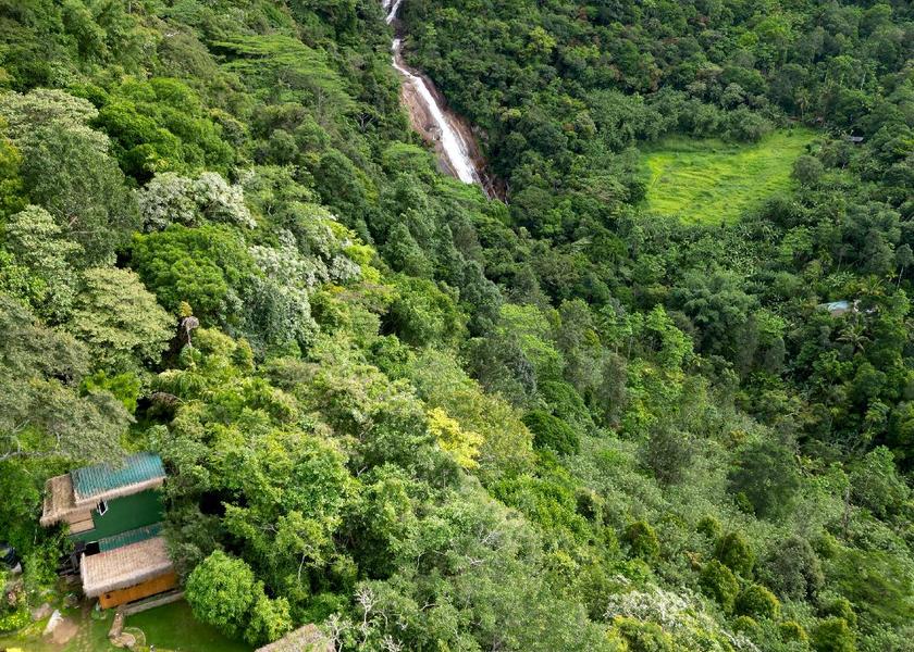 surrounding environment