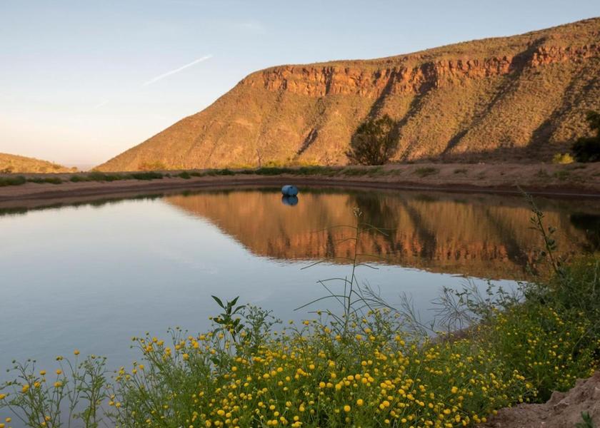 Western Cape Calitzdorp garden