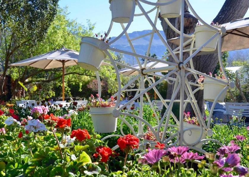Western Cape Greyton garden