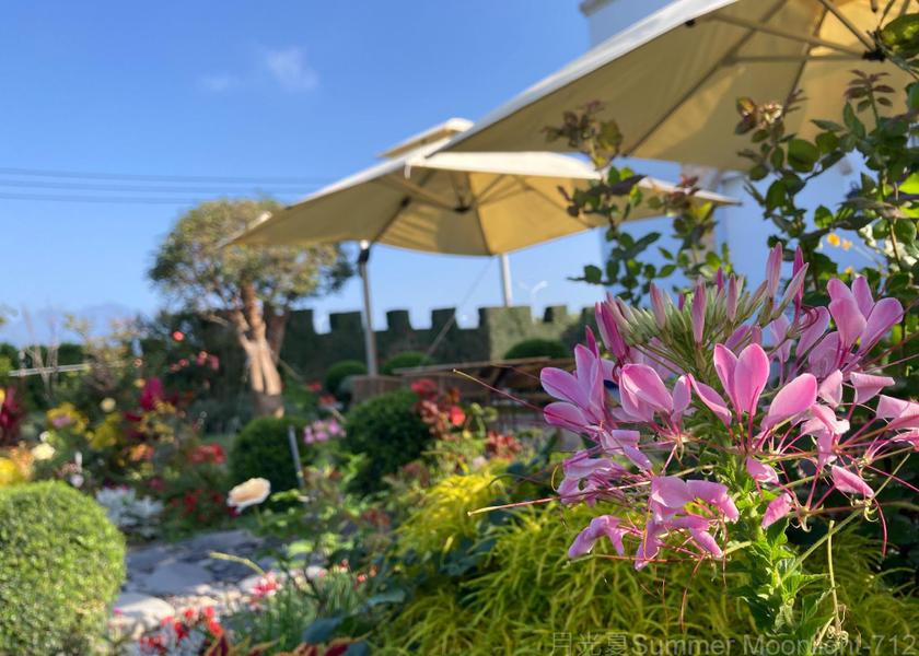 Taitung County Taitung garden