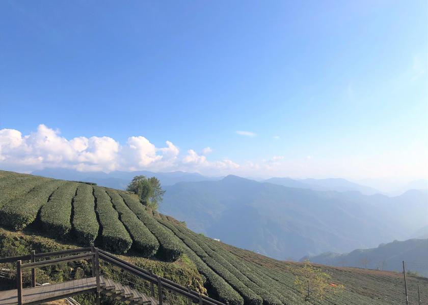 Chiayi County Zhuqi Nearby attraction