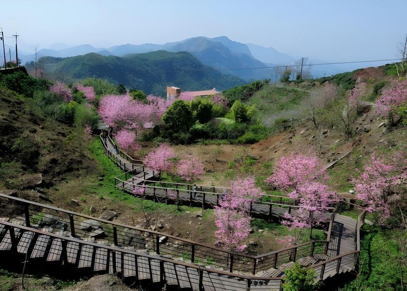Chiayi County Zhuqi Nearby attraction