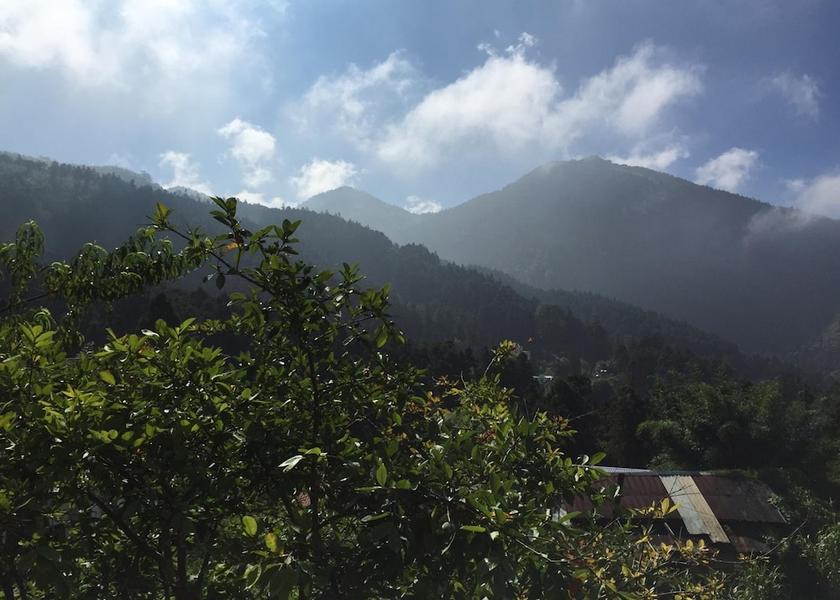 Chiayi County Zhuqi Property grounds