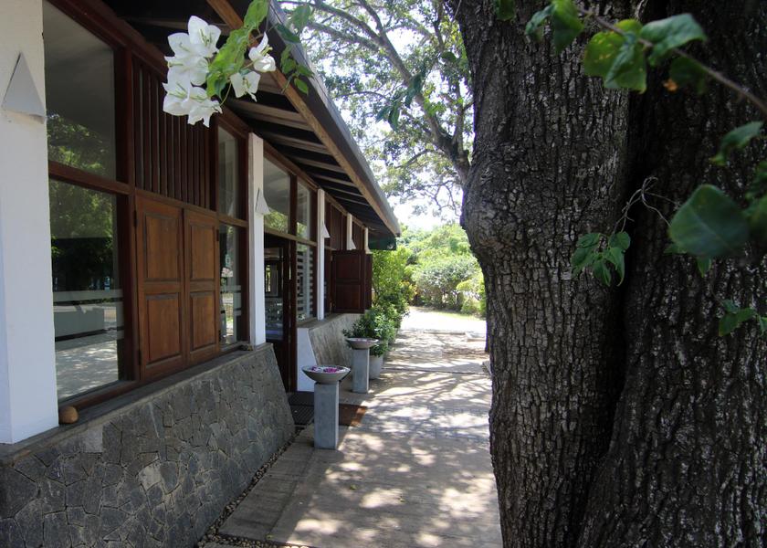 surrounding environment