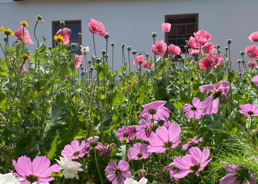 Western Cape Riversdale 