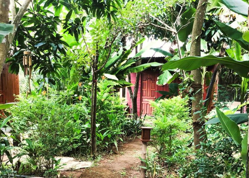 Ben Tre Ben Tre garden