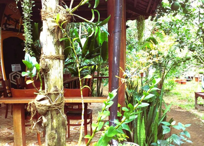 Ben Tre Ben Tre food and beverages