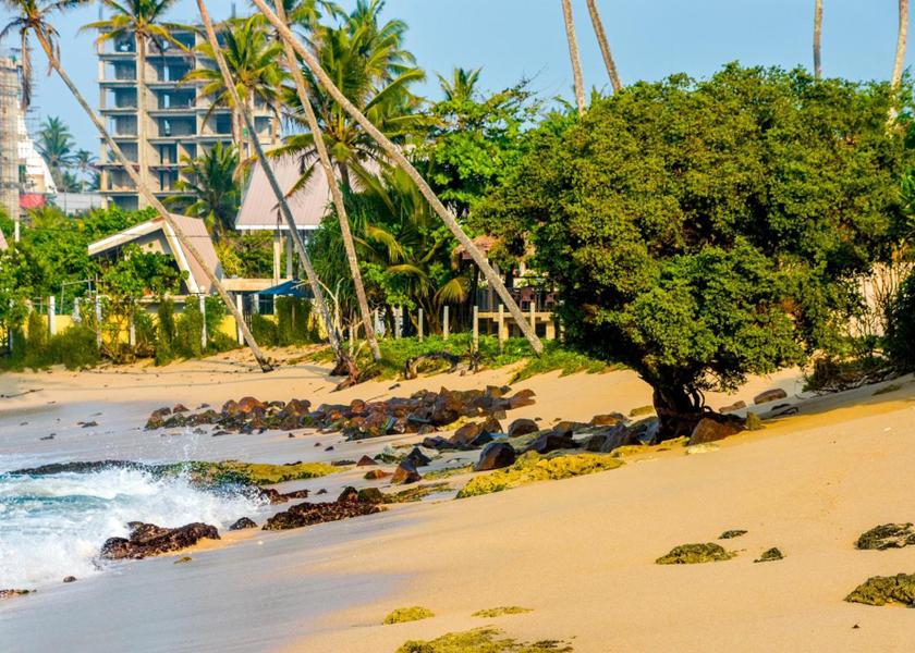 Matara District Mirissa beach