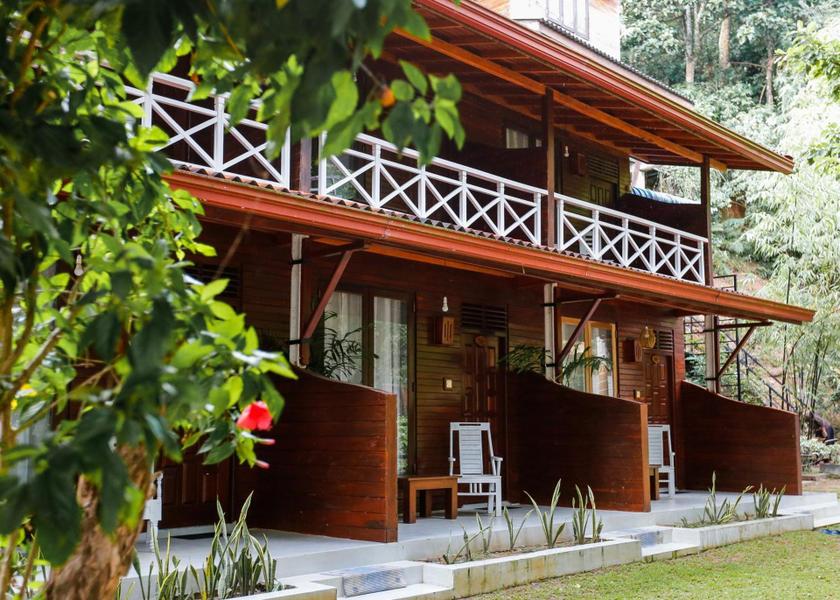 Matara District Mirissa garden