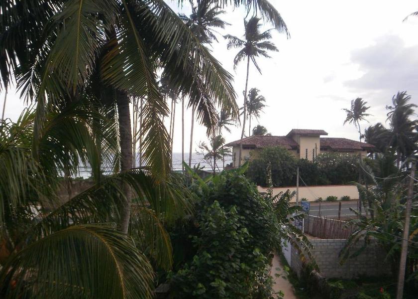 Matara District Mirissa garden