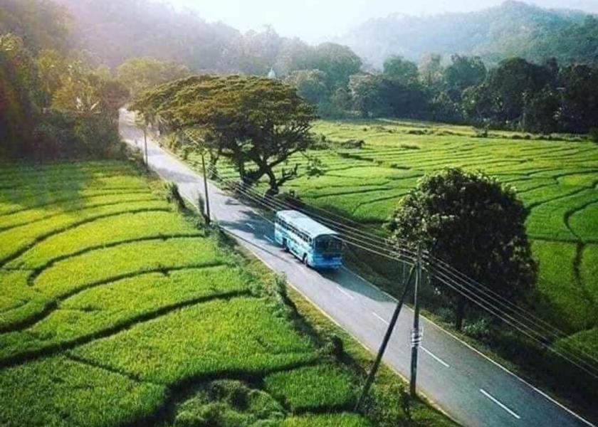Uva Province Watta 
