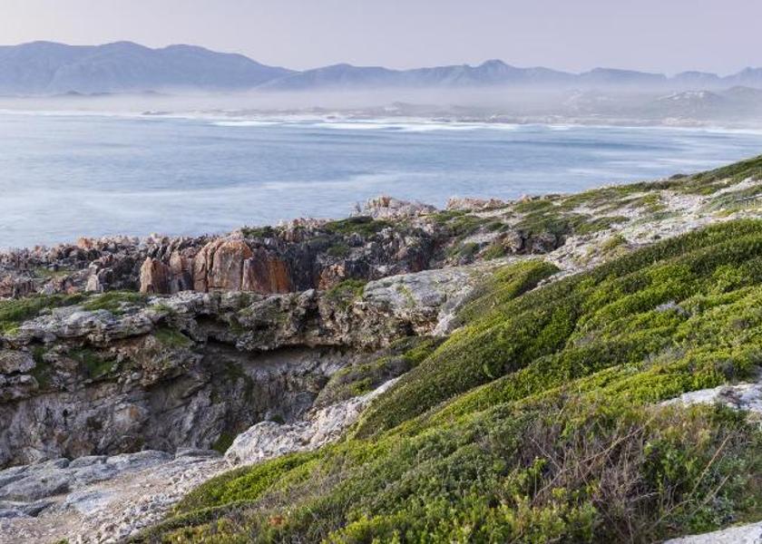 Western Cape De Kelders View