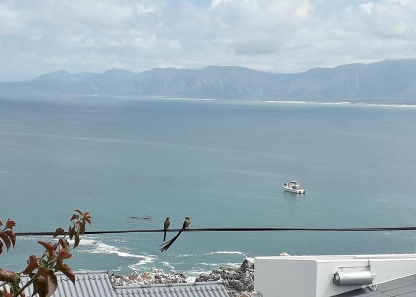 Western Cape De Kelders view