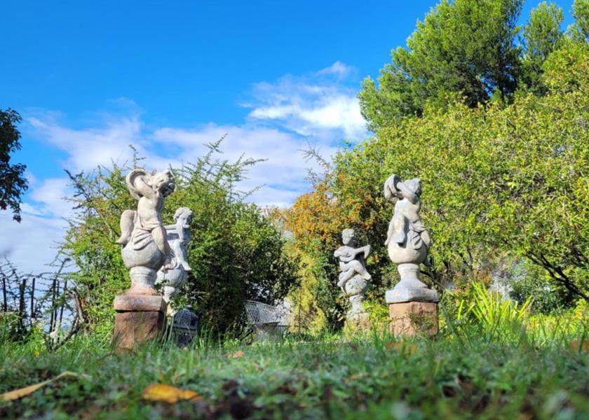 Free State Mohokare garden