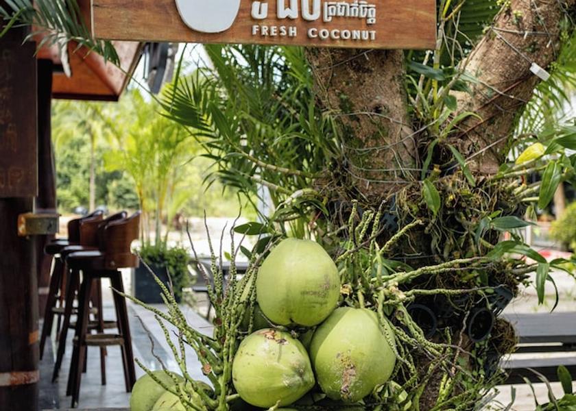 Preah Sihanouk Koh Rong Beach bar