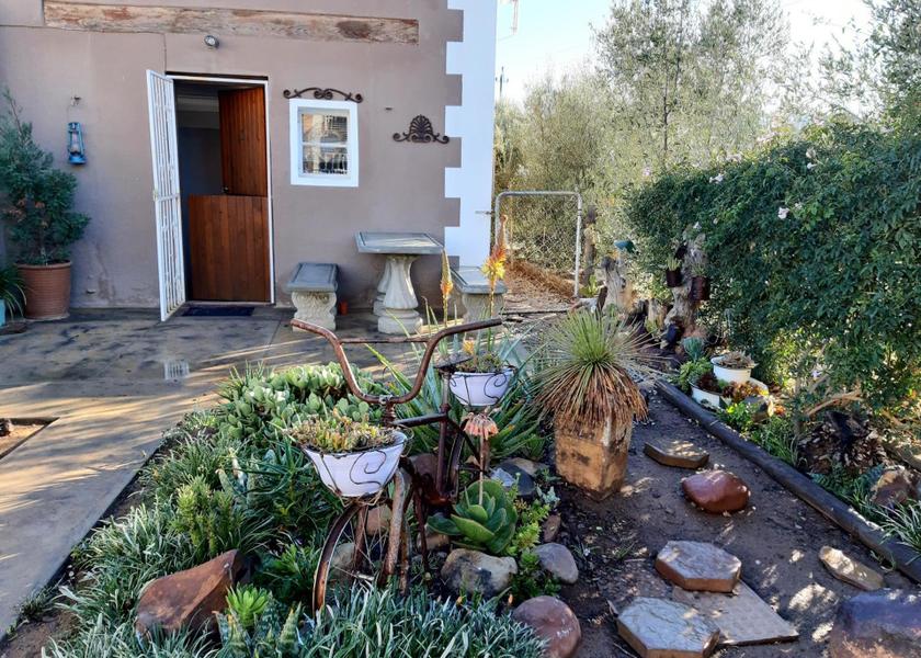 Northern Cape Hantam 