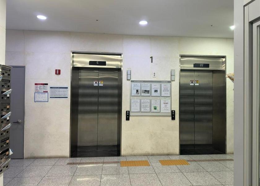  Daegu 
