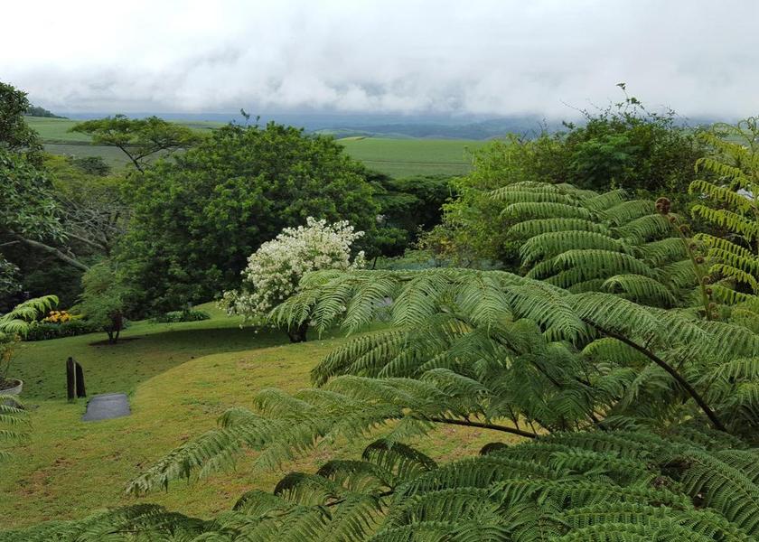 KwaZulu-Natal Eshowe 