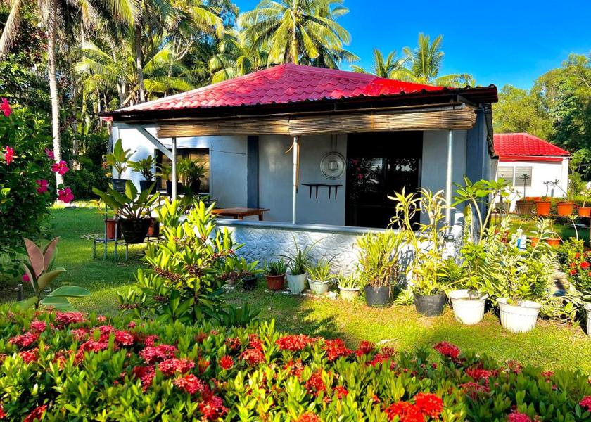 Western Visayas Sipalay garden