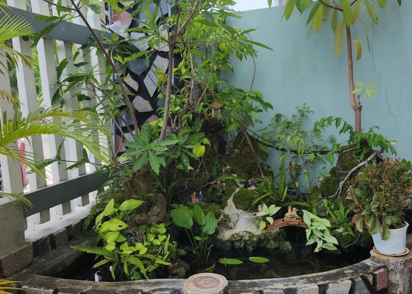 surrounding environment